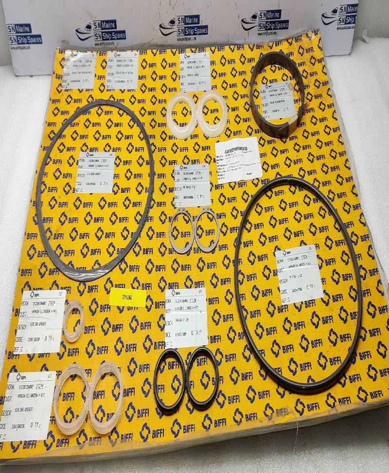 BIFFI 05910GR15103 Algas Seal Kit 0,9C-0350-280CL-SK