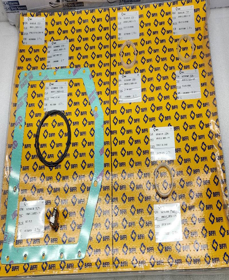 BIFFI 05910GR15101 Seal Kit 09.C-0700-385CL-SK 