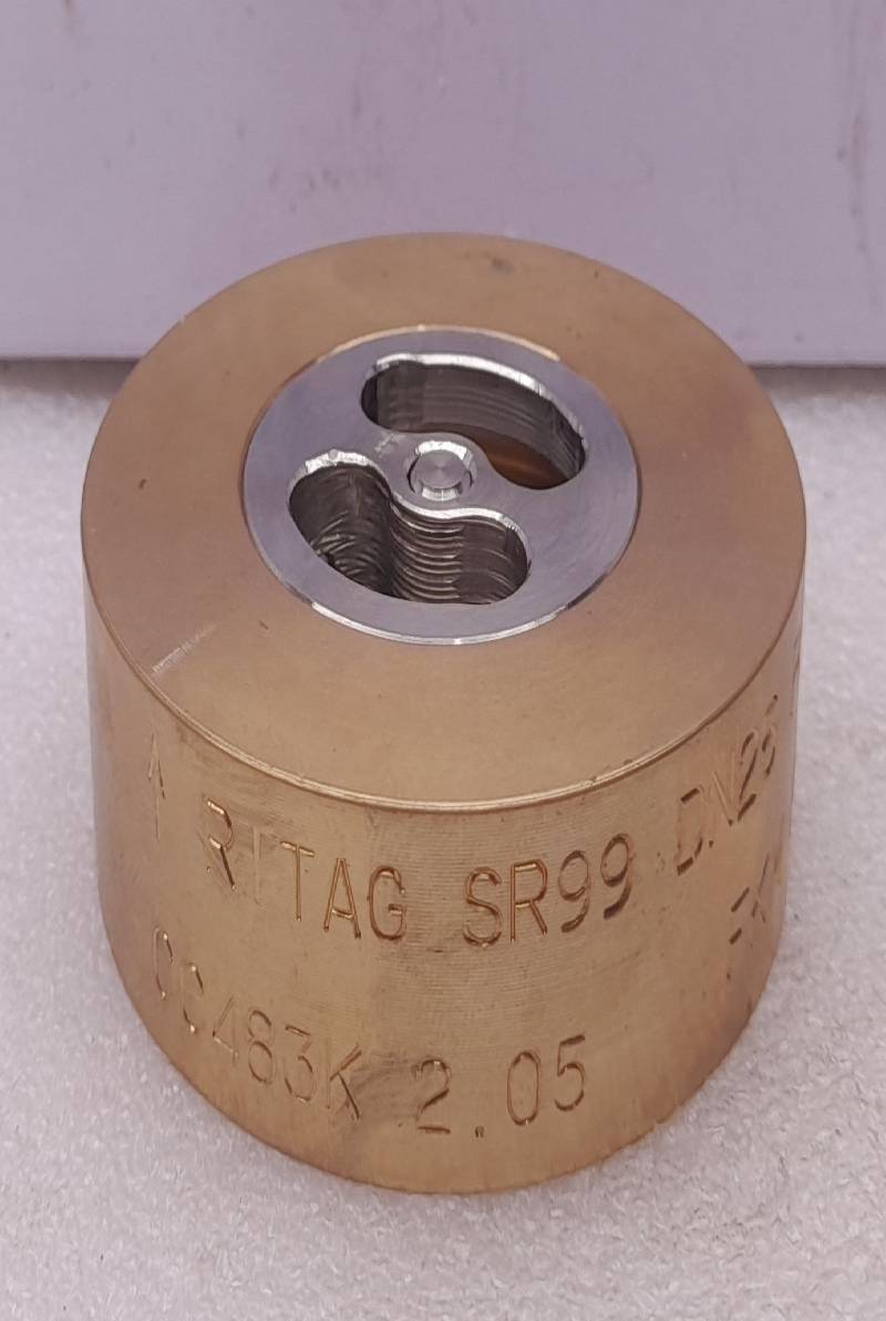 SR99 DN25Check Valve PN:10-15 CC483K Facet 57530309