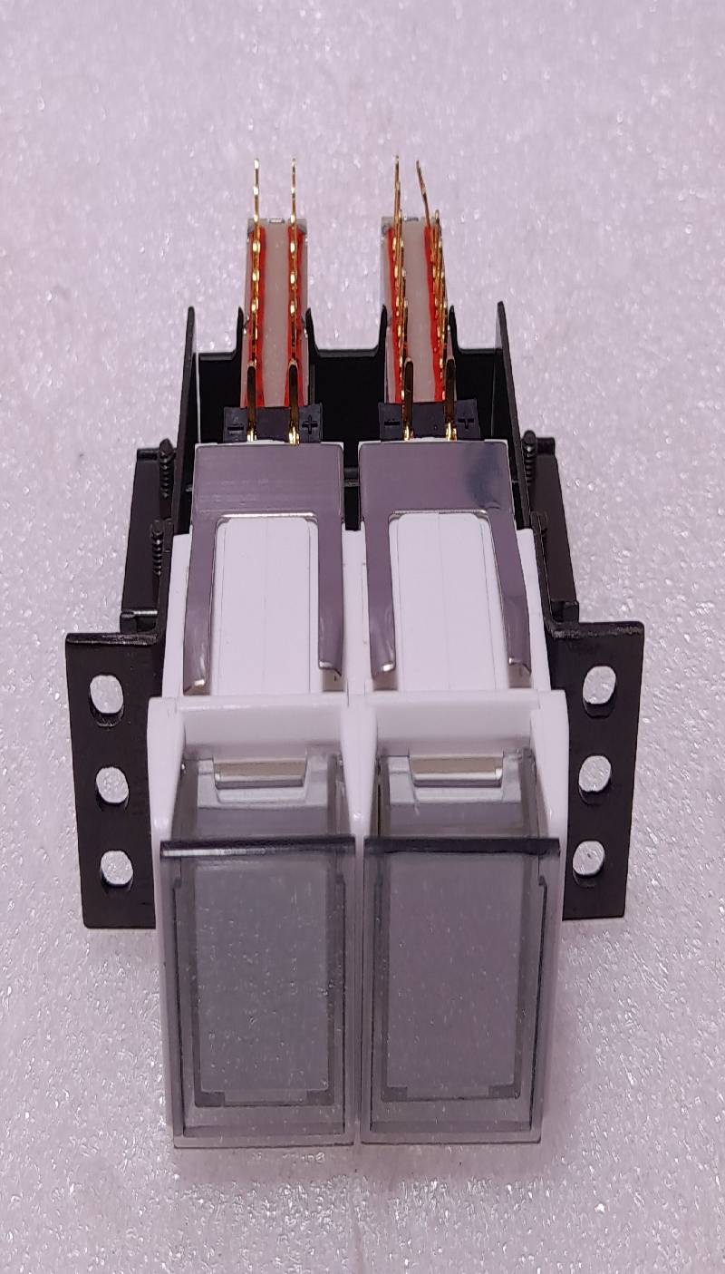 NIPPON DENYO Type:802 DOUBLE LED LOCK SWITCH 802G-024