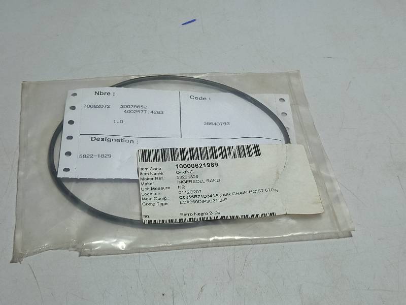 INGERSOLL RAND 58221829  O-RING  USED IN AIR CHAIN HOIST 6TON