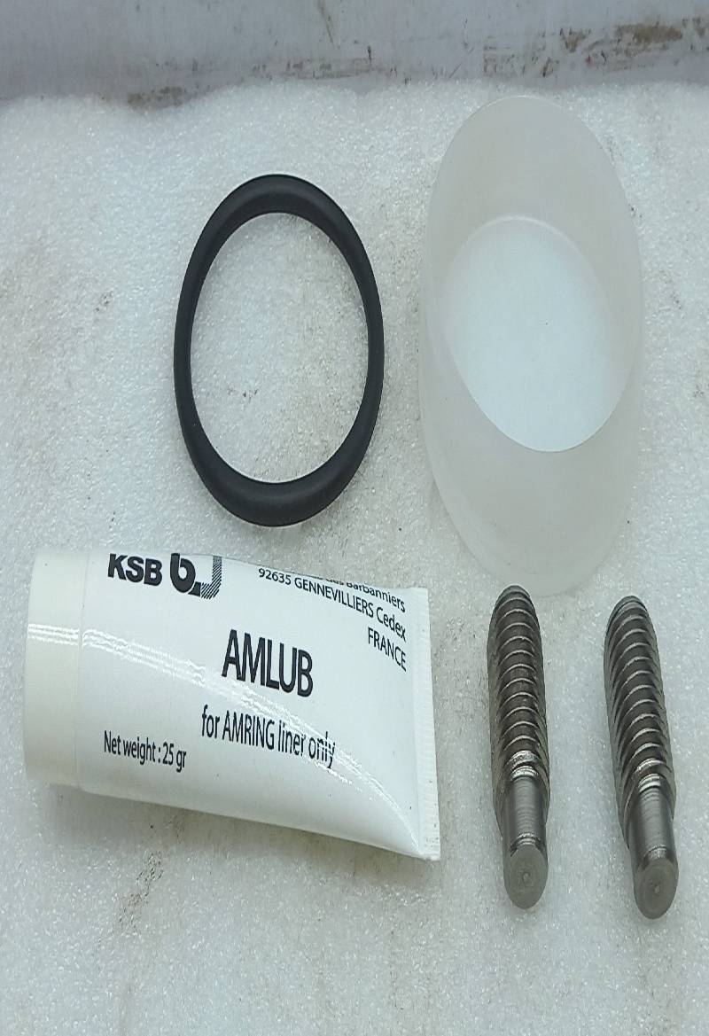 KSB Division 9972460066 Linear Repair Kit (K) ISORIA 10/16 DN600 42382850