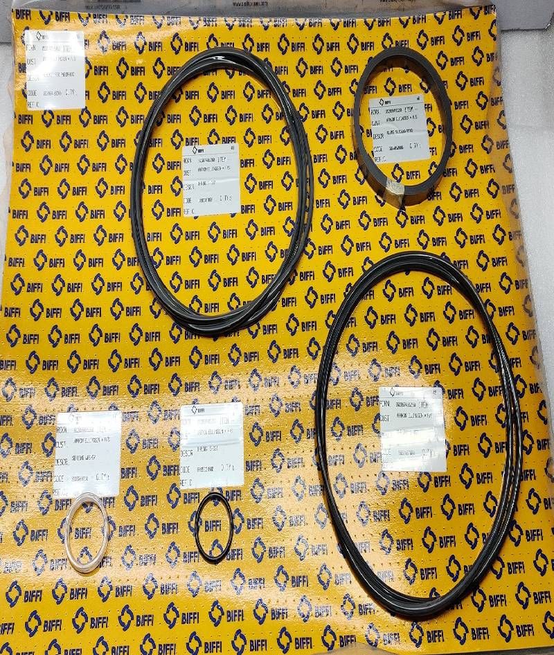 BIFFI 1.5C-1100-485CL-SK Seal Kit BIFFI 1,5C-1100-485CL-SK