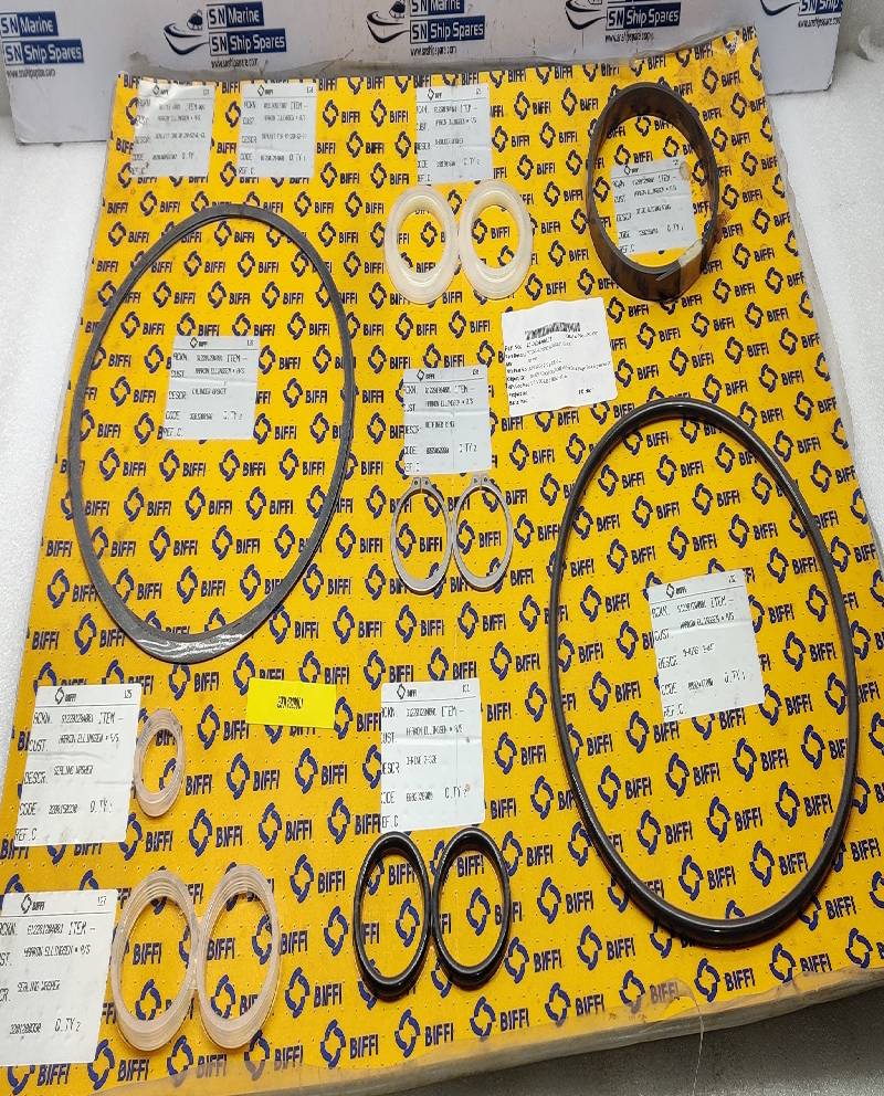 BIFFI 05910GR15103 Algas Seal Kit 0,9C-0350-280CL-SK