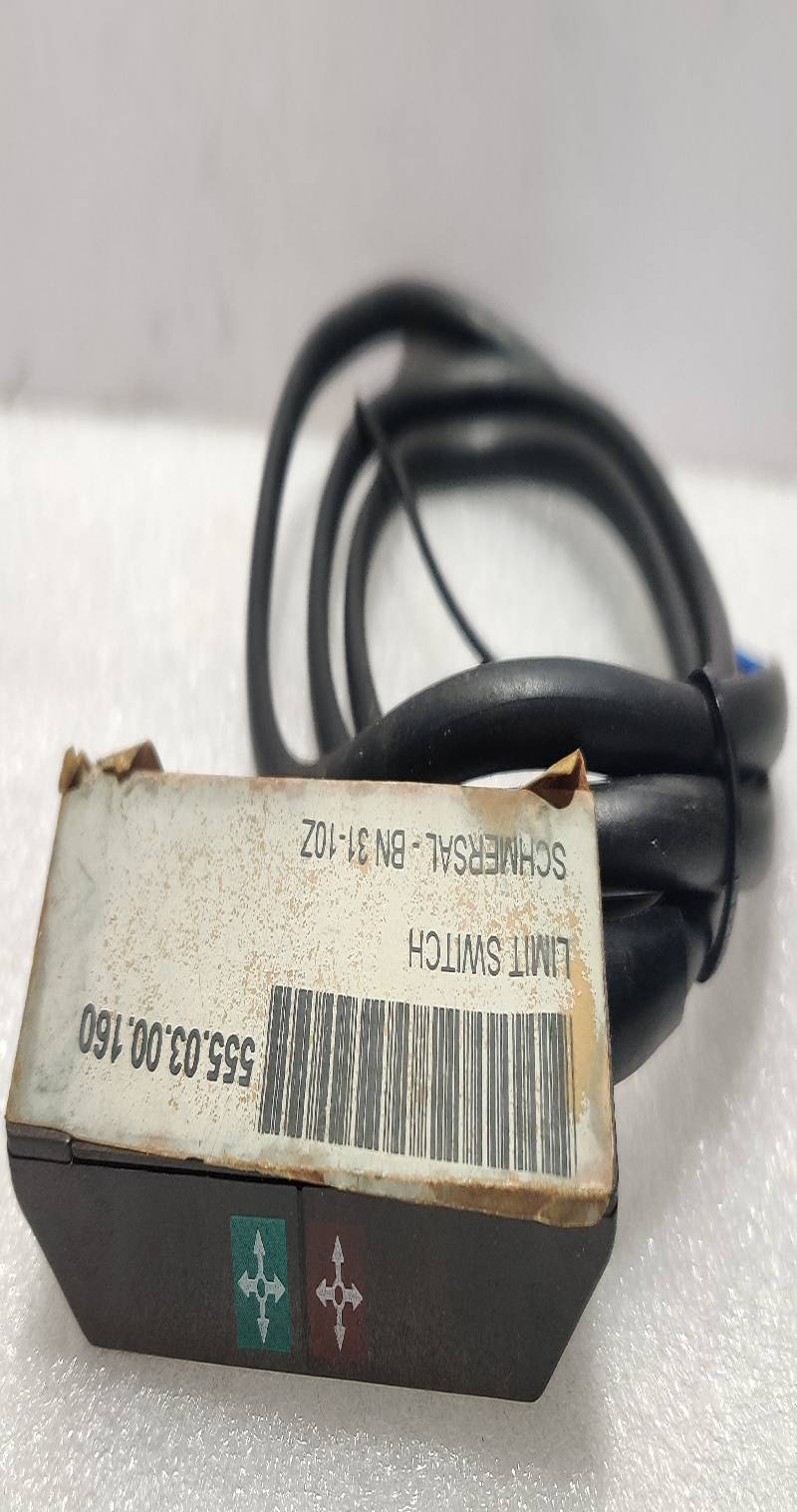 Schmersal BN 31-10Z Limit Switch IP 67 250VAC/DC (0.48A)