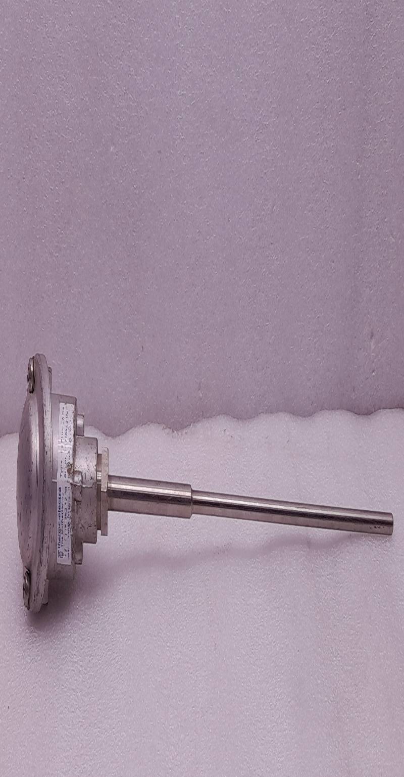 Thermo Electra 1XPT100-2W CI.B Temperature Sensor