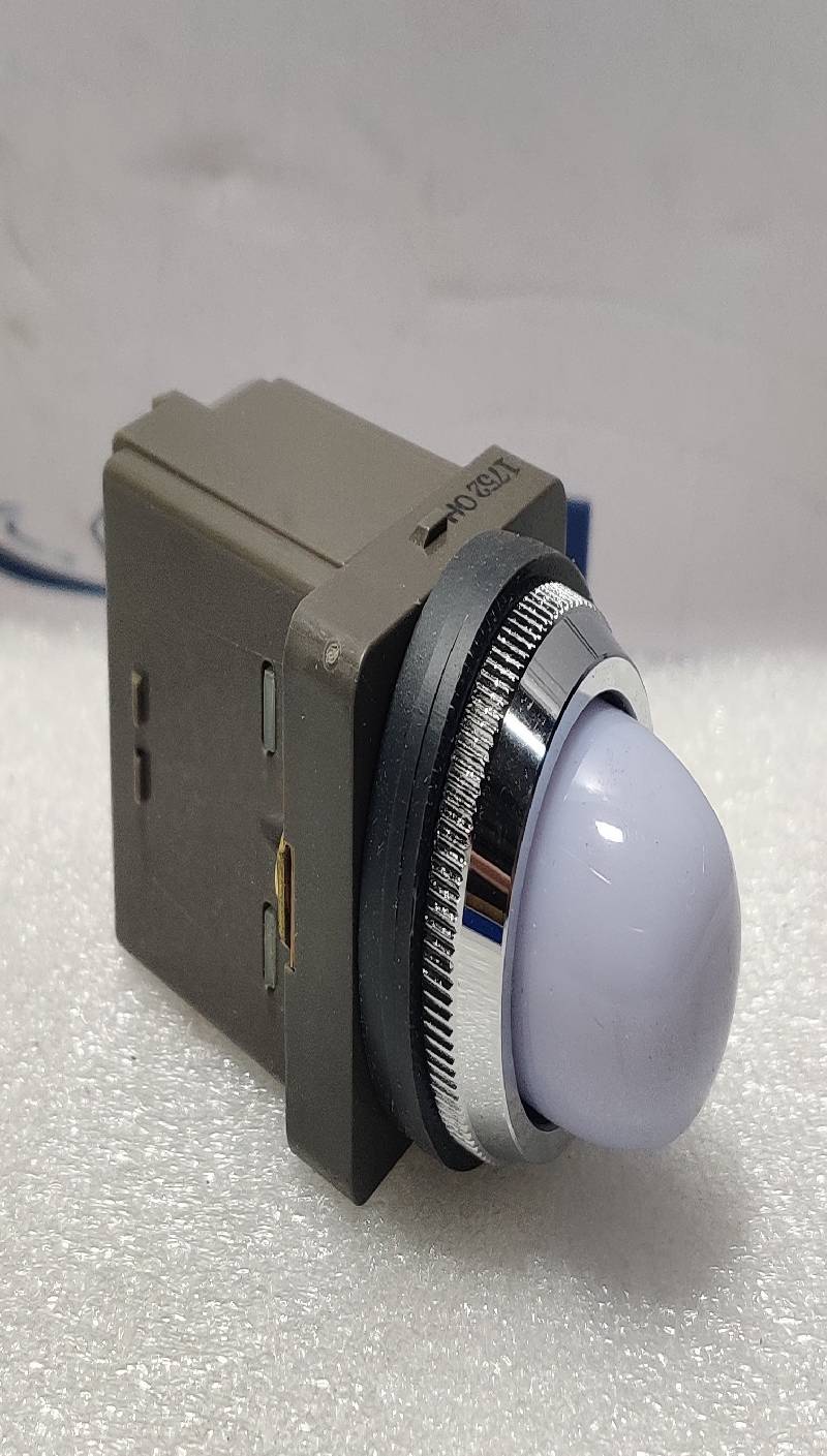 Idec APN128-W Control Unit Pilot Light Primary: 200/220V 50/60Hz