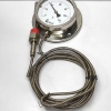 Ingersoll Rand 0101 0109 Vapour Pressure Thermometer